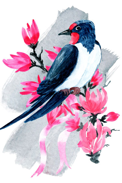 日本鸟类。鹭、吞咽、水彩绘画。海报和明信片。图片下载