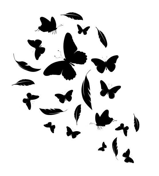 黑色羽毛和蝴蝶群孤立在白色背景上图片下载