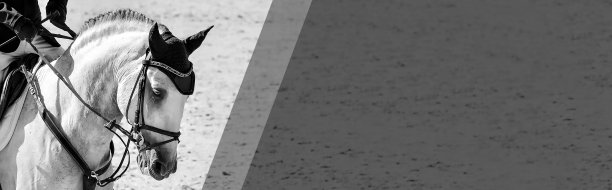 穿制服的马和骑士，黑白相间。图片下载
