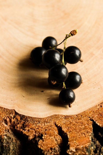 有黑醋栗浆果的小枝放在有树皮的桦木板上图片下载