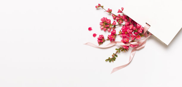 平躺白色礼品袋包装与丝带和春天粉红色的花在灯光背景顶视图。贺卡与精致的花粉红色花卉背景。春季最小的概念。美丽时尚图片下载