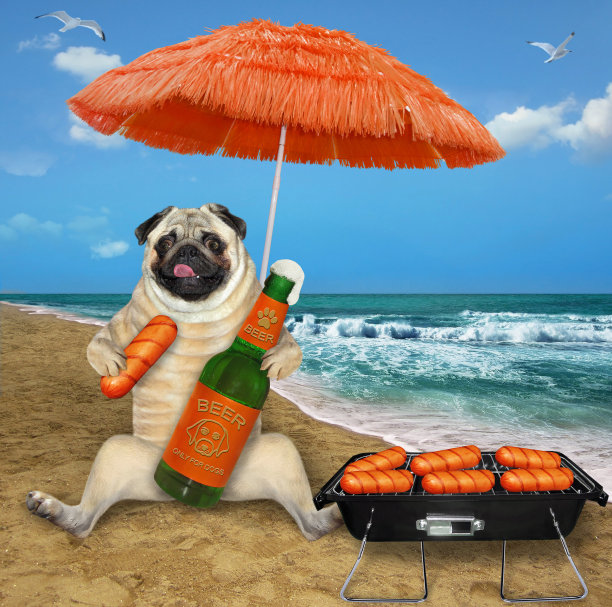 狗巴格在海滩上喝啤酒和香肠图片下载