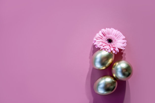 粉红春天极简主义图片下载