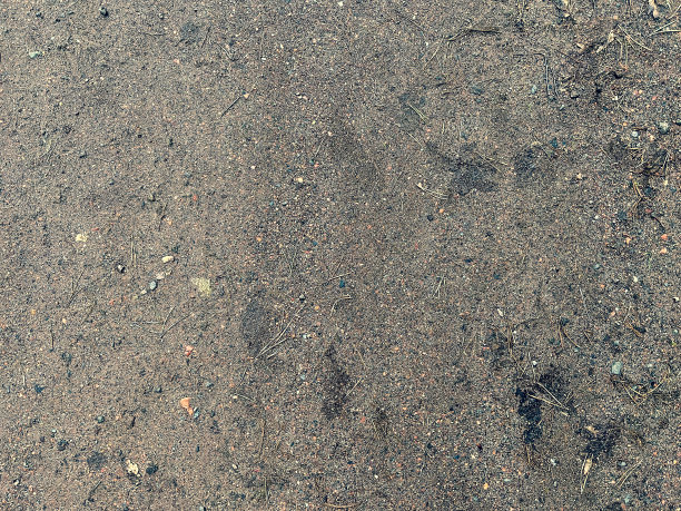 沙质路径作为纹理或背景。图片下载