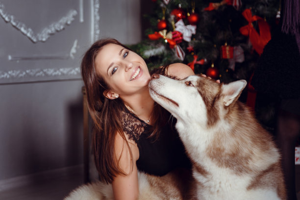 家庭在新年的室内图片下载