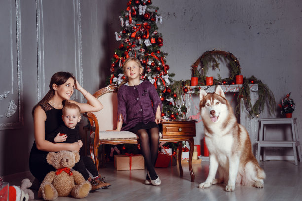 家庭在新年的室内图片下载