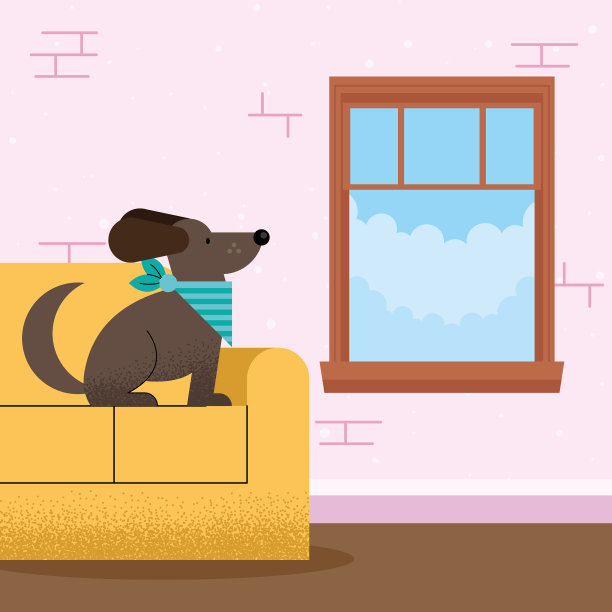 狗宠物在客厅图片下载