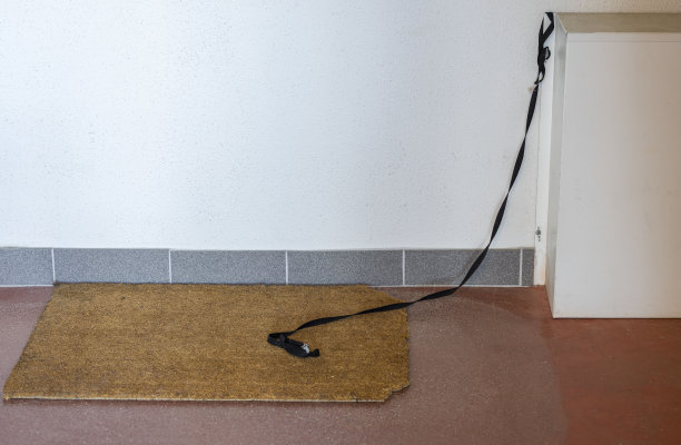 近距离观察的地方等待狗在一些建筑内与狗垫和皮带。瑞典。图片下载