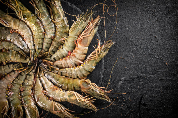 鲜生虾放在圆石板上。图片下载