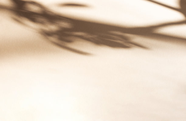 沙质背景上的树叶阴影。最小的概念。空间创意副本。抽象的中性自然概念。模糊的背景。照片叠加效果。图片下载