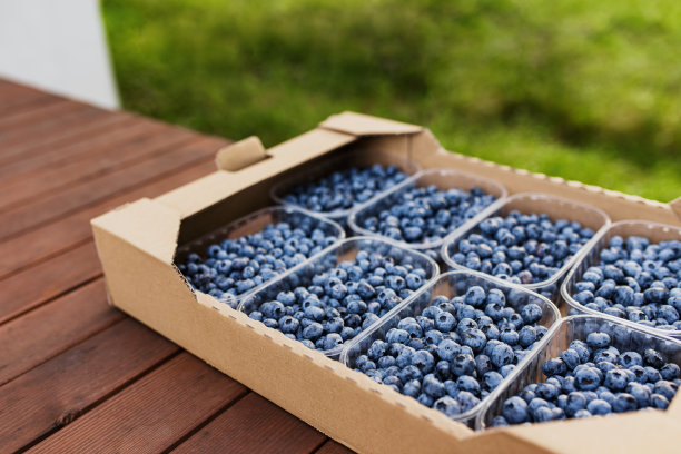 用收集的新鲜蓝莓装盒或板条箱。浆果农业业务图片下载