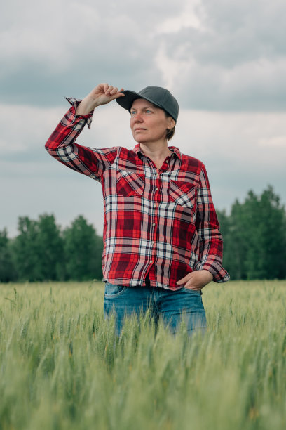 负责任的小麦农民农学家看着她种植的谷类作物农田图片下载
