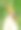 在干叶上交配的红棉虫-动物行为。图片下载