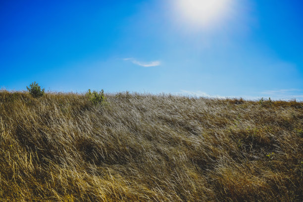 德国的一片非常干燥的田野。图片下载