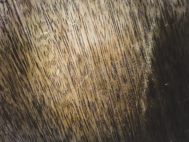 暗光木材的宏观图像。图片下载