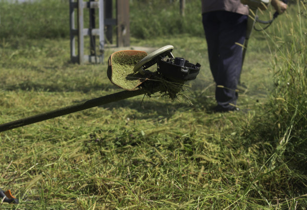 农民在割草图片下载