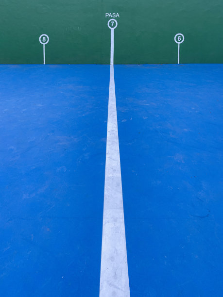 山墙庭院的墙壁，蓝色的地板上有白色的标记和数字，为佩洛塔游戏，白色的线在前景图片下载