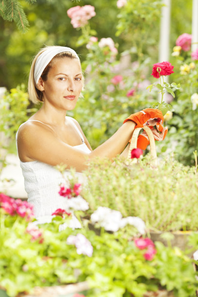 年轻女子户外园艺图片下载