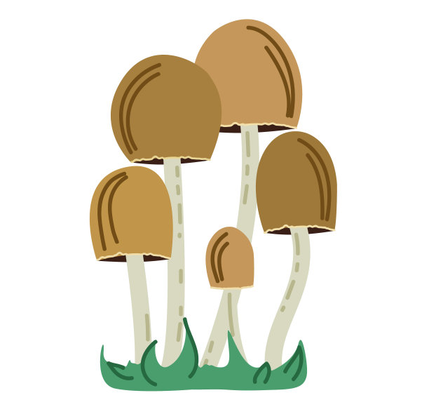 迈锡纳卡通蘑菇孤立在白色背景上。现实的蘑菇渲染器图片下载