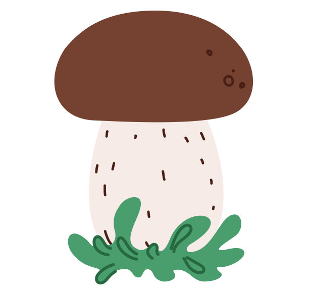 向量插图的牛肝菌卡通蘑菇孤立在白色背景。逼真的渲染cep。矢量图图片下载