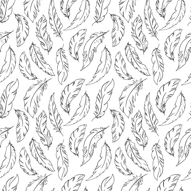 羽毛的鸟类。手绘黑白羽毛剪影。矢量插图。图片下载