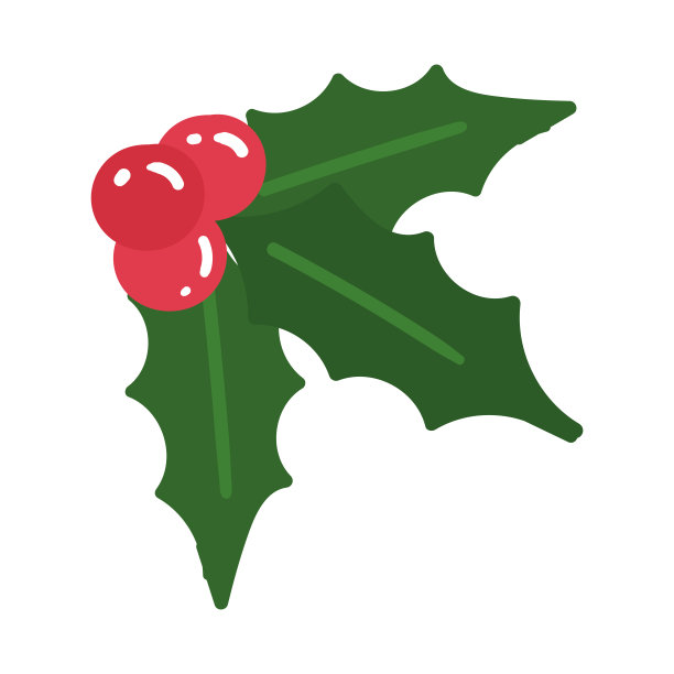 孤立的冬青图标圣诞装饰矢量图片下载