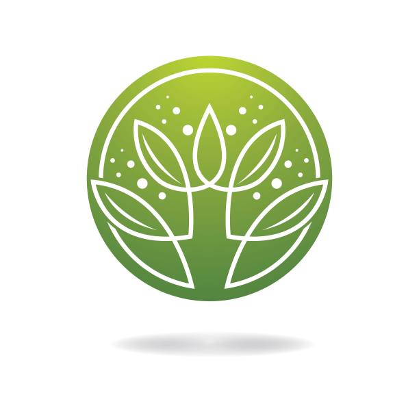 树叶矢量标志设计图片下载