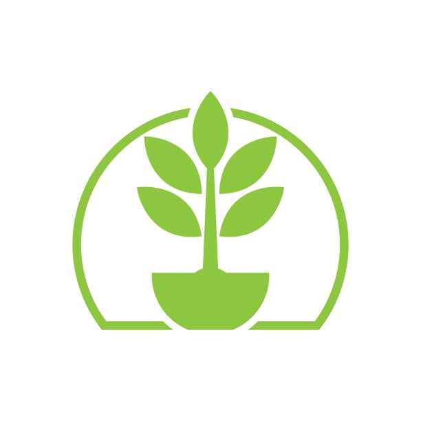 树叶矢量标志设计图片下载