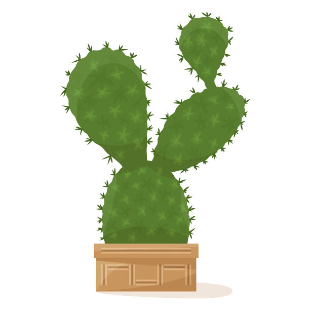仙人掌，身体扁平，有刺。花盆中的多汁植物，家庭、办公室、温室的室内植物。矢量图标，彩色卡通，复杂平面，孤立图片下载