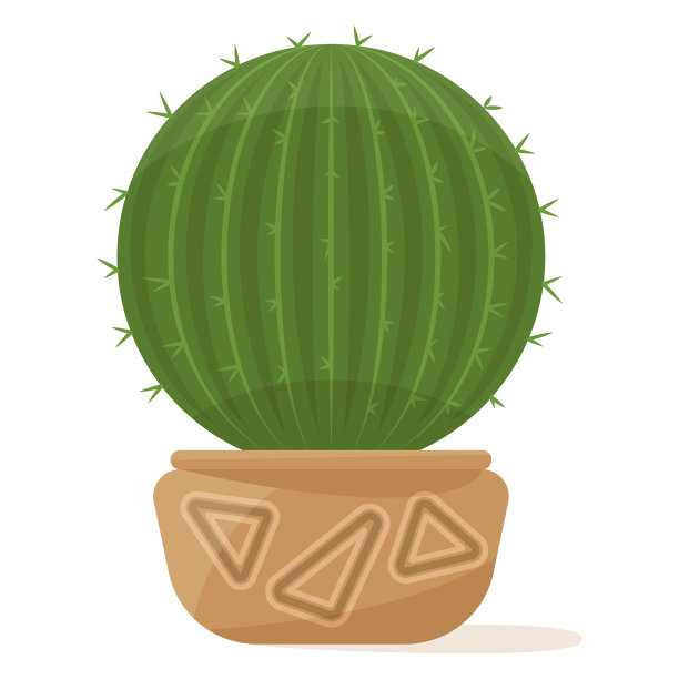 带刺的圆形仙人掌。花盆中的多汁植物，家庭、办公室、温室的室内植物。矢量图标，彩色卡通，复杂平面，孤立图片下载