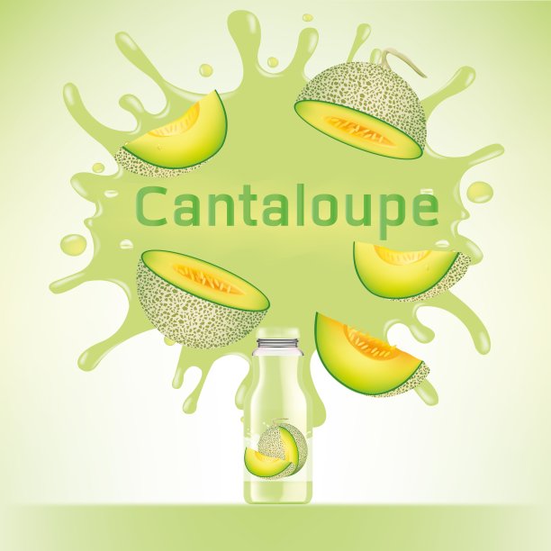 哈密瓜飞溅果汁瓶热带水果设计矢量插图图片下载