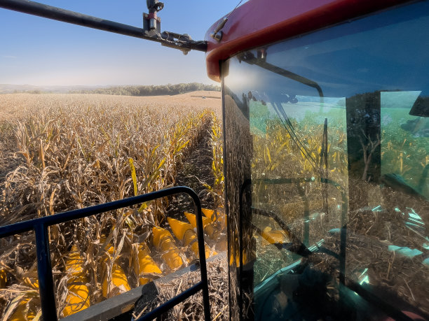 从联合收割机内看到的玉米田图片下载