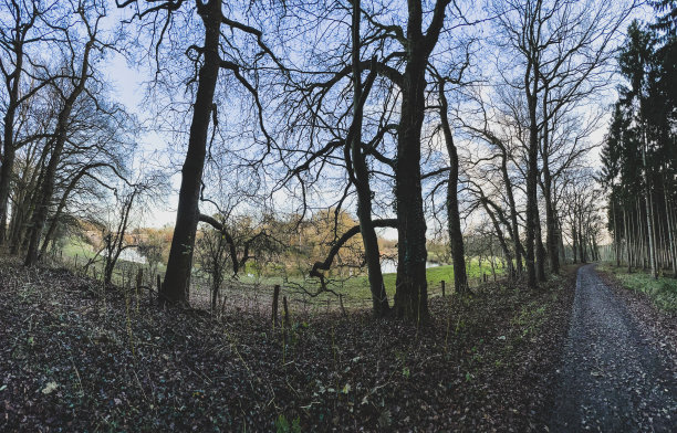 德国下萨克森州冬天的一条小路，旁边是森林和河流。图片下载