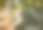 这张照片拍摄的是一群无法辨认的人指着户外图片下载