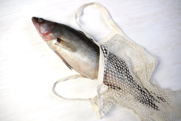 新鲜的zander鱼在白色背景在可重复使用的袋子图片下载