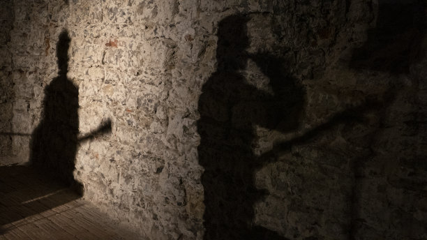 《与墙上音乐家的影子合唱》，音乐会图片下载