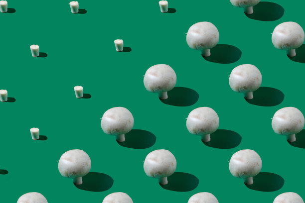 由香菇制成的夏季组合，在绿色的背景上。创意图案的冠军。平躺，顶视图的模式生皇家蘑菇。图片下载