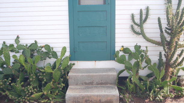 沙漠仙人掌花，白墙，木屋。墨西哥花园，加利福尼亚植物群图片下载