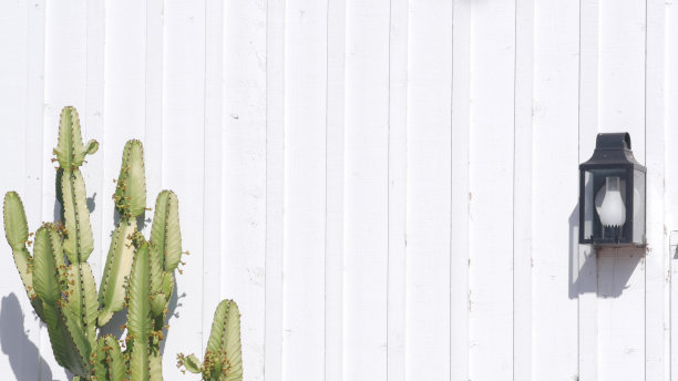 绿色多肉仙人掌植物，白色木墙配复古灯笼，狂野西部。图片下载