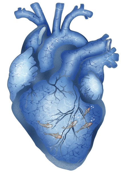 蓝色的心图片下载