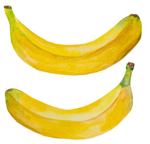 水彩黄色熟香蕉。全热带水果插图图片下载