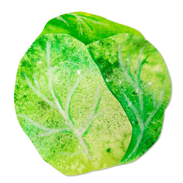 手绘水彩剪纸青菜头。明亮可爱的卡哇伊童心风格插图，适合农贸市场，超市产品设计，贴纸或明信片图片下载