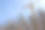 钢筋酒吧。工业背景。钢筋结构。建筑材料。图片下载