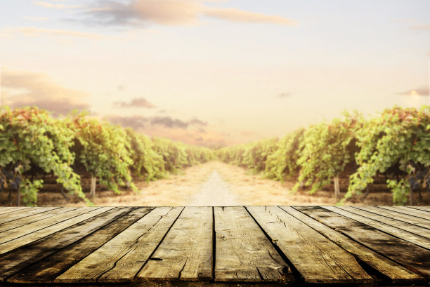 古老的木制桌面与模糊的葡萄园和葡萄背景。图片下载