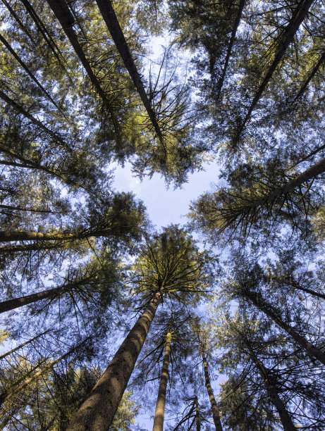 加拿大BC省安莫尔邦岑湖步道图片下载