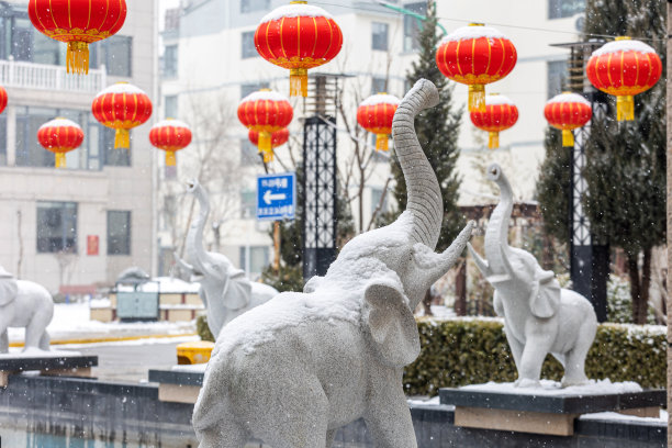 雪在冬天图片下载