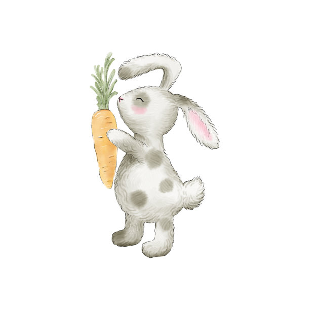 手绘兔子，兔子和胡萝卜。插图。图片下载