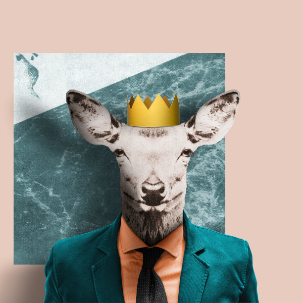 商业领导力的概念。图片下载