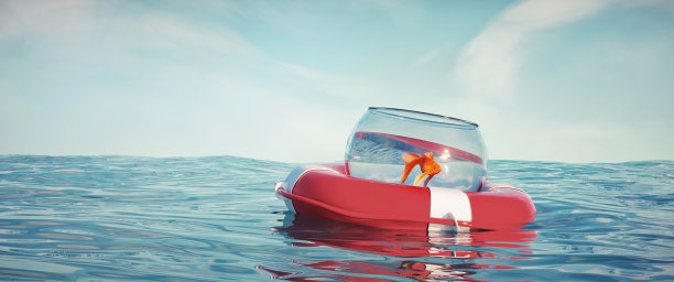 鱼缸里的金鱼被救出海洋。图片下载