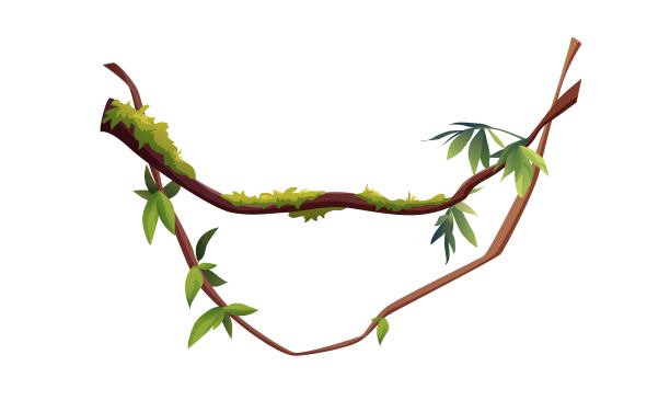 藤本植物或藤本植物缠绕的分枝具热带叶背景。丛林热带攀缘植物。图片下载